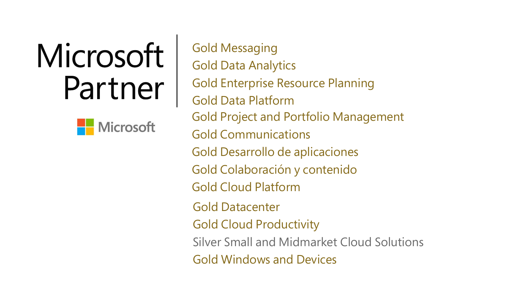 Imagen de la noticia ¡Seguimos creciendo! Nuevas Competencias Microsoft Gold